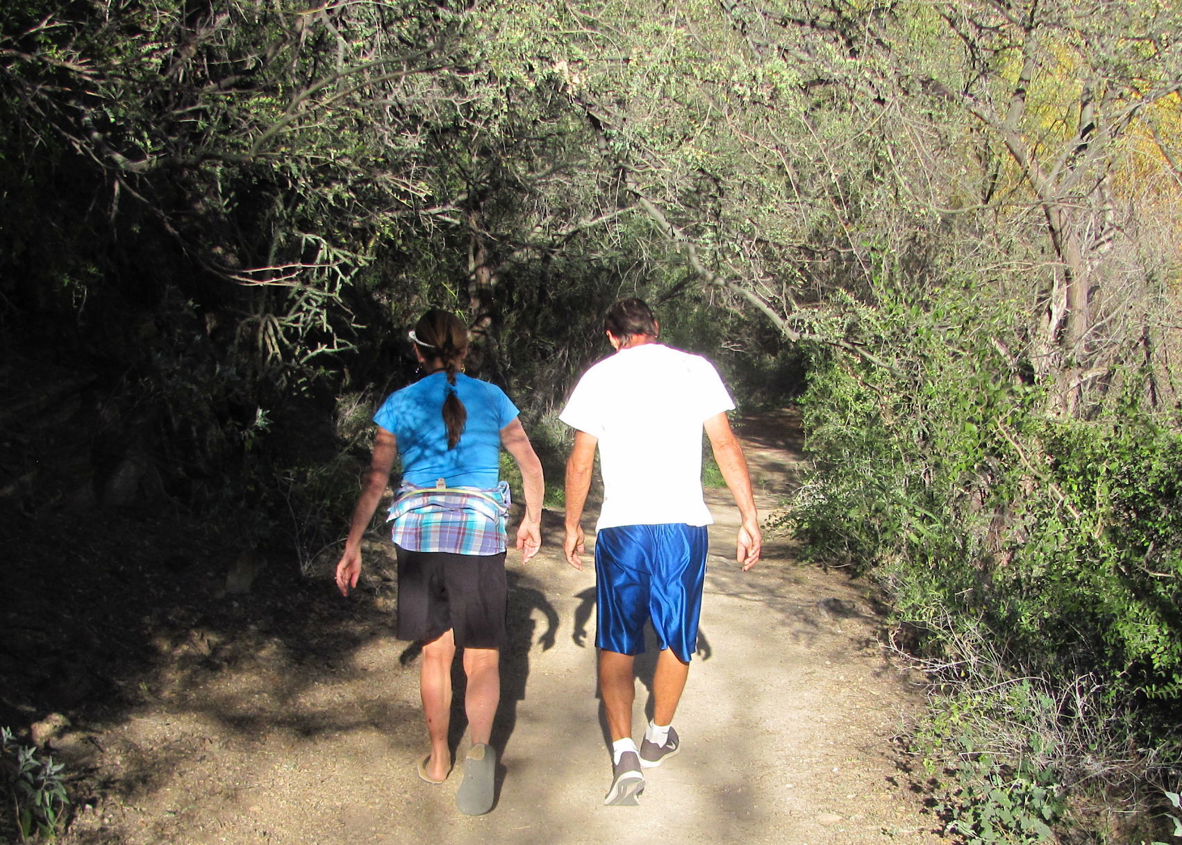 Hikers in woodland